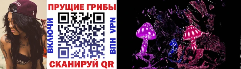 Галлюциногенные грибы Psilocybe закладки Нижний Новгород