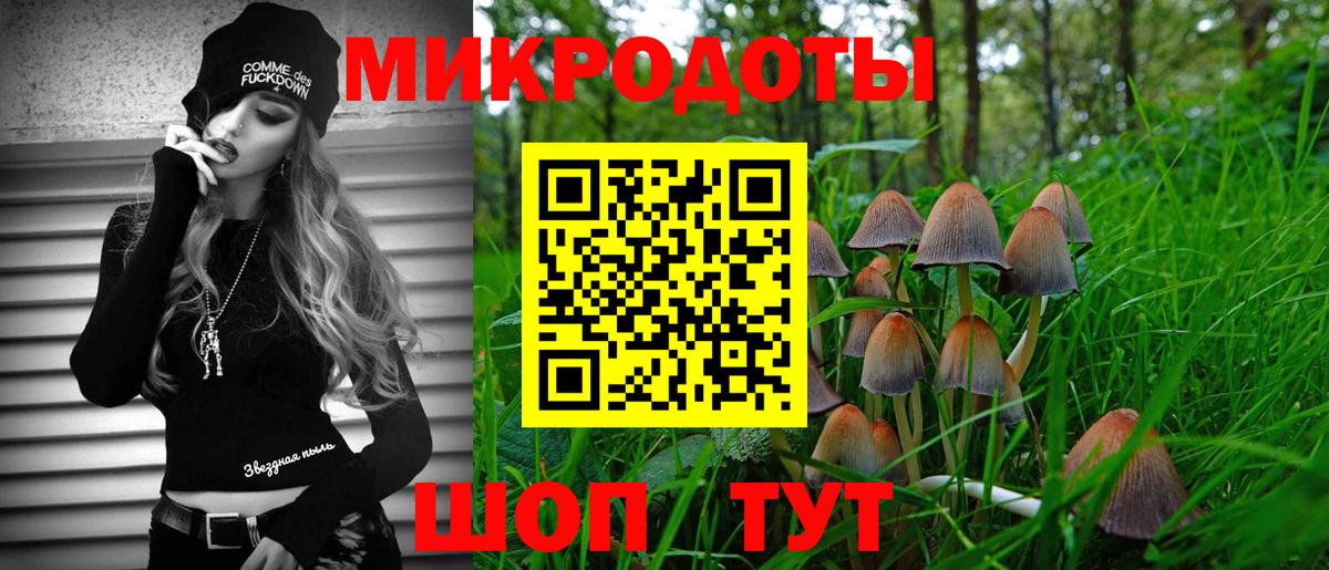 Галлюциногенные грибы Cubensis Нижний Новгород