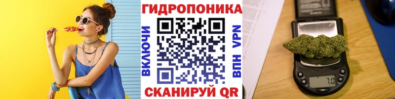 мега ссылки  закладка  Нижний Новгород  darknet клад  МАРИХУАНА ГИДРОПОН 